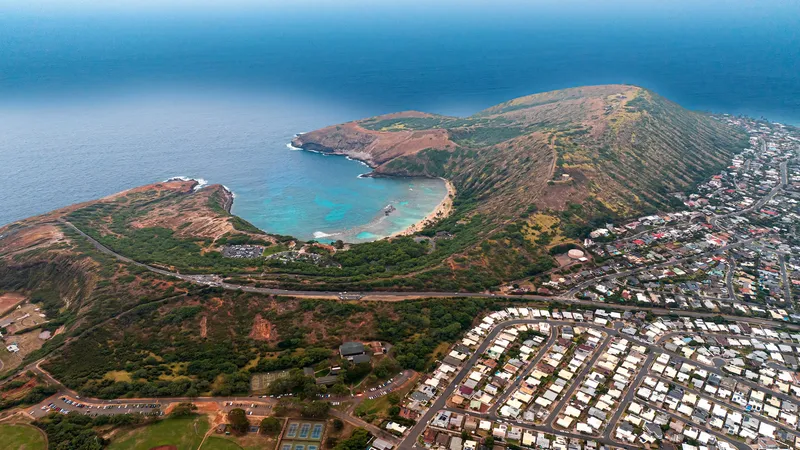 Aerial view of Coral Crater Adventure Park showing the volcanic crater landscape with ziplines crossing through native jungle canopy