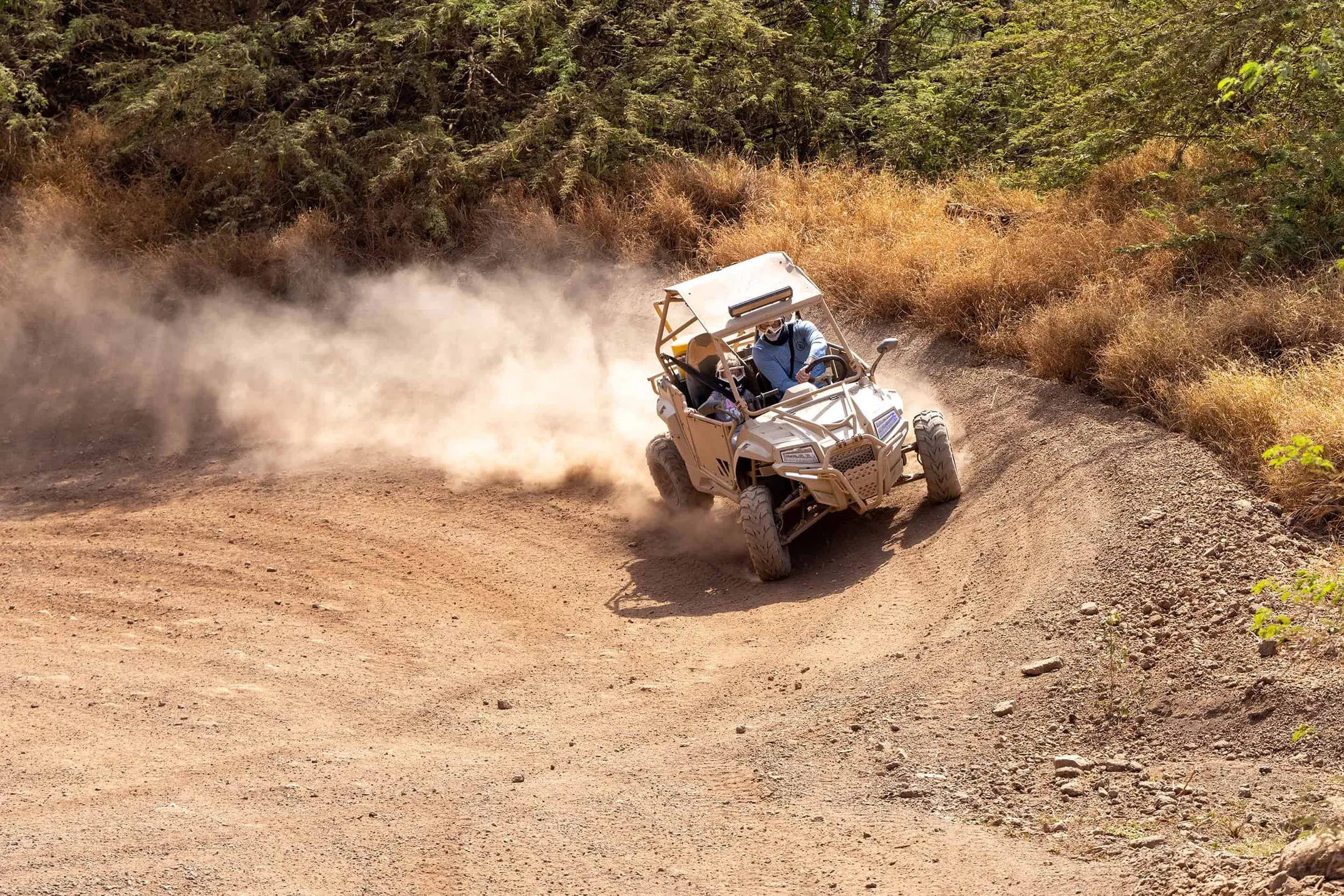 Beautiful Hawaiian landscape - ATV Tours Hawaii background
