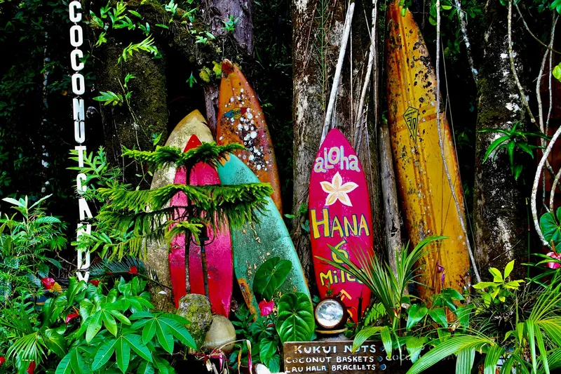 Beautiful Hawaiian surfing scene with turquoise water