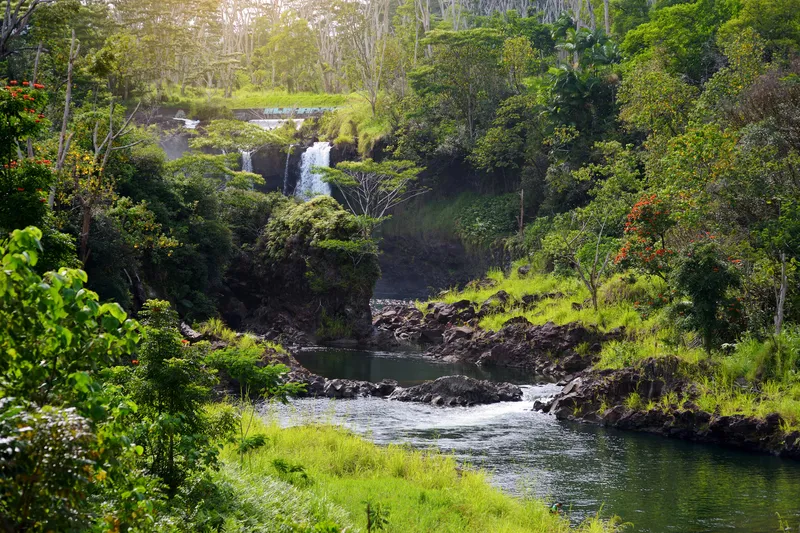 Wailua River with kayakers paddling through lush tropical rainforest scenery