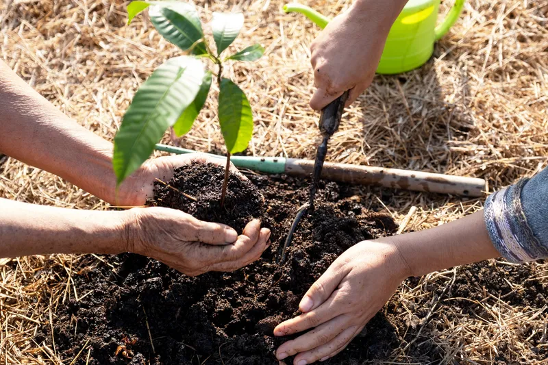 Volunteers planting native trees and working in fishponds with local guides