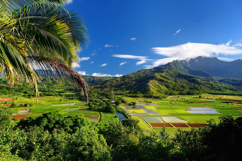 Hanalei farmers market on grassy lawn with dramatic waterfall-streaked mountains