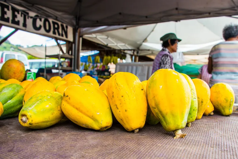 Upcountry Maui farmers market scene with Haleakala mountain views