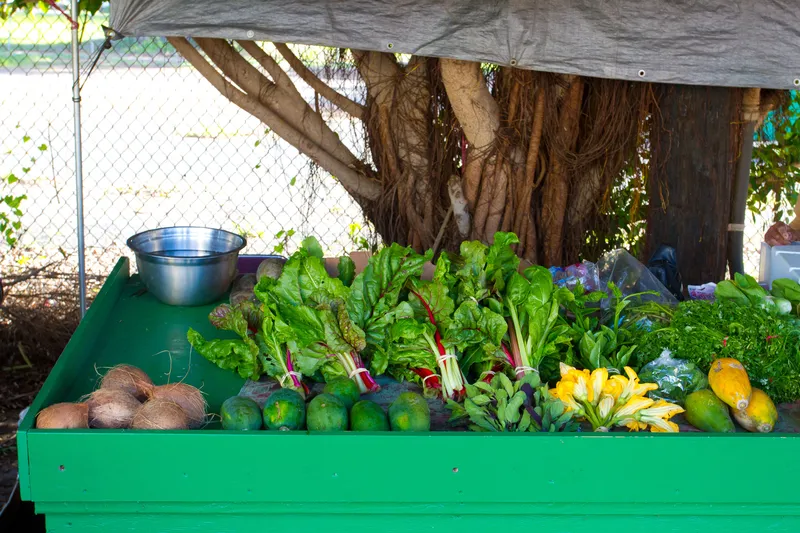 KCC Farmers Market bustling Saturday morning scene with Diamond Head in background