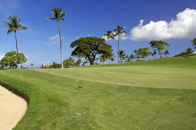 Hawaiian golf course with palm trees and ocean views showcasing the paradise setting