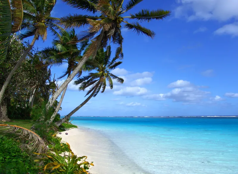 Hawaii travel planning essentials and local insights for first-time visitors