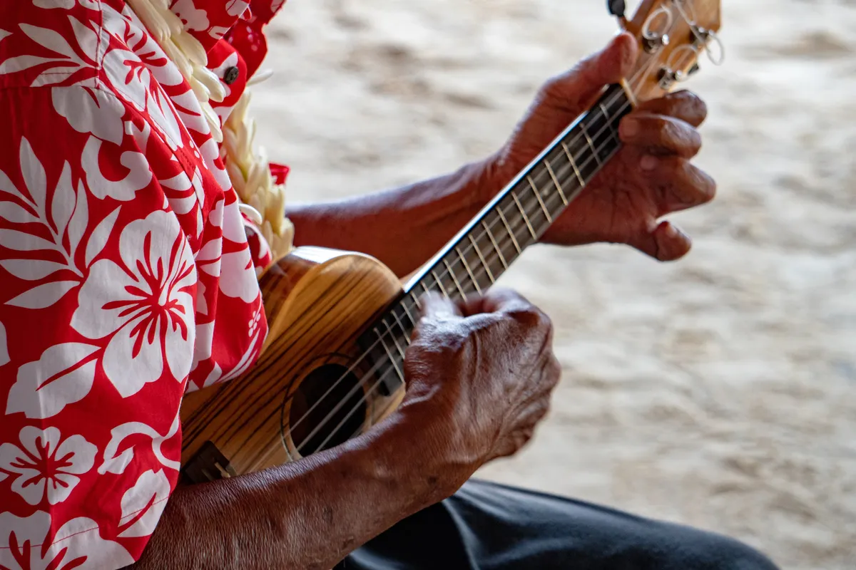 Hawaiian ahupuaʻa system - traditional land management from mountain to sea