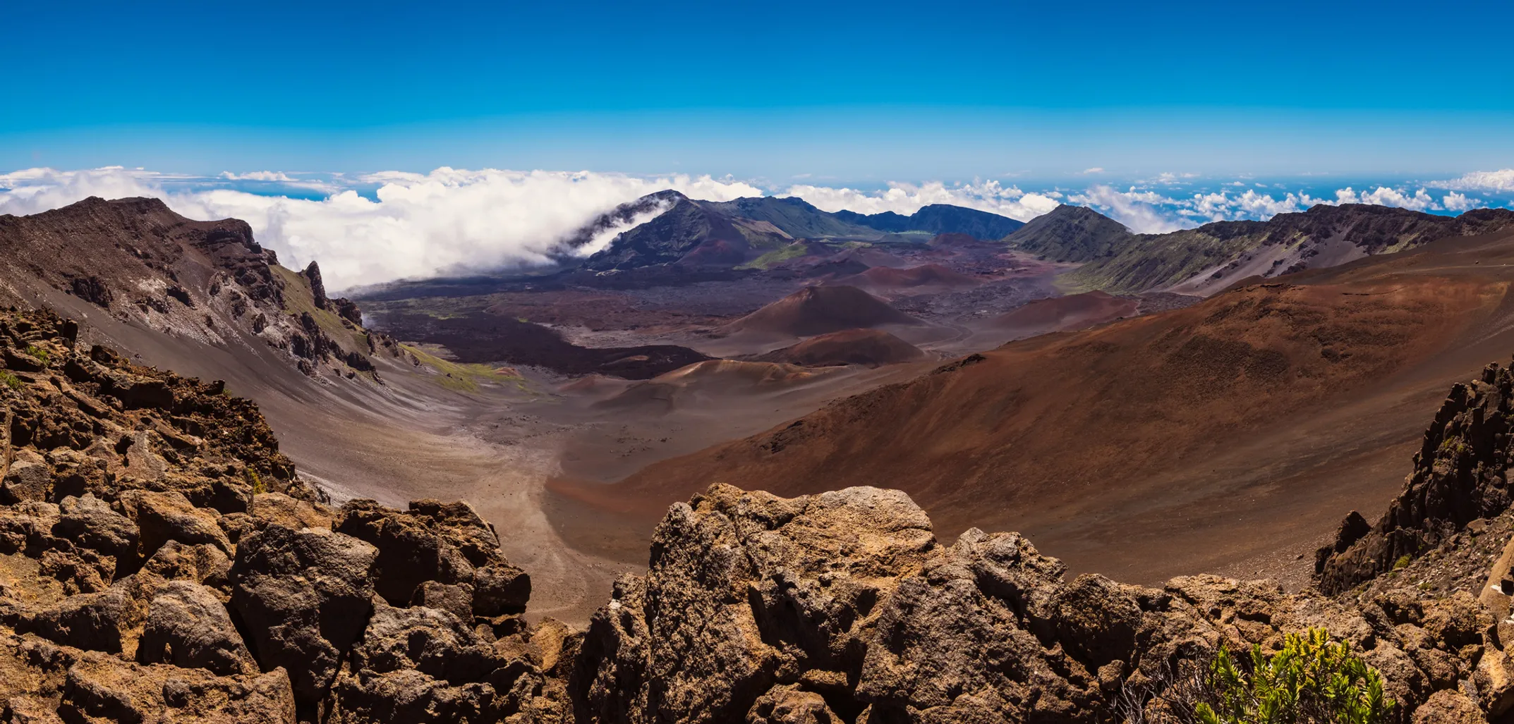 Hikers on scenic Hawaiian trail through diverse landscapes