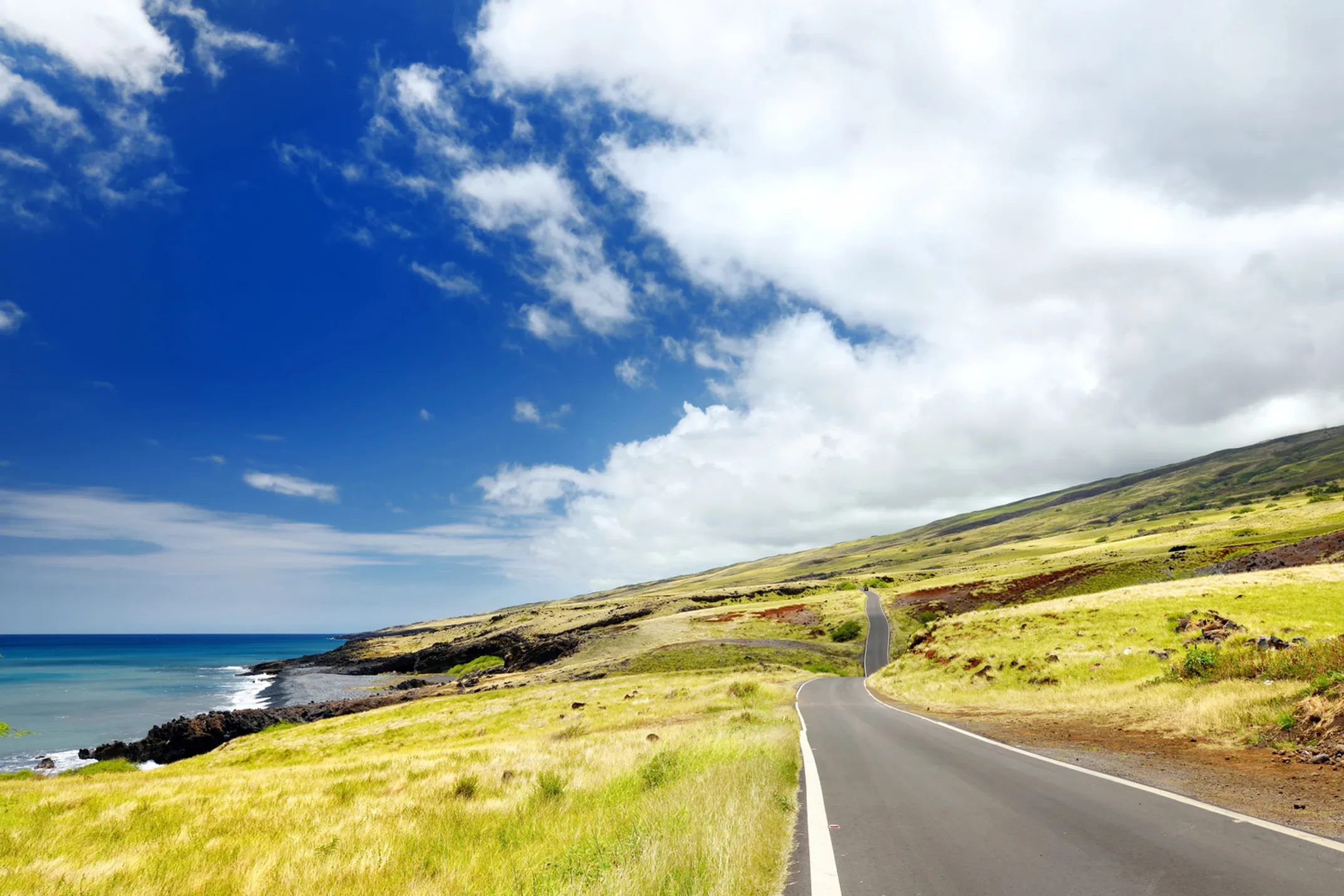 Hawaiian language revival movement - from suppression to renaissance