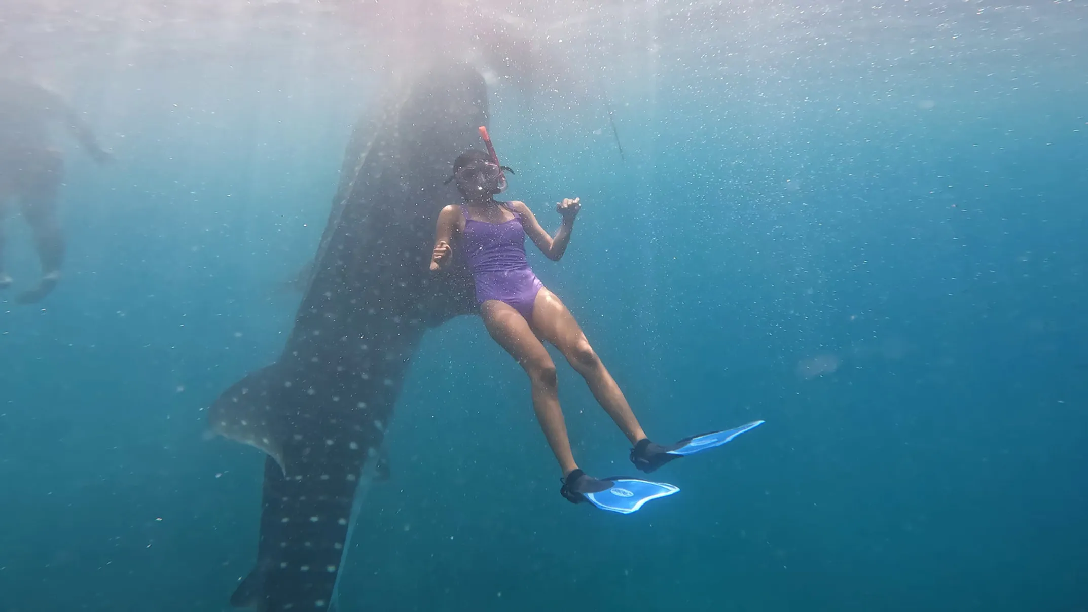 Kauai snorkeling paradise with dramatic cliffs and pristine reefs
