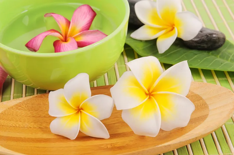 Maui spa wellness and mountain retreat experience
