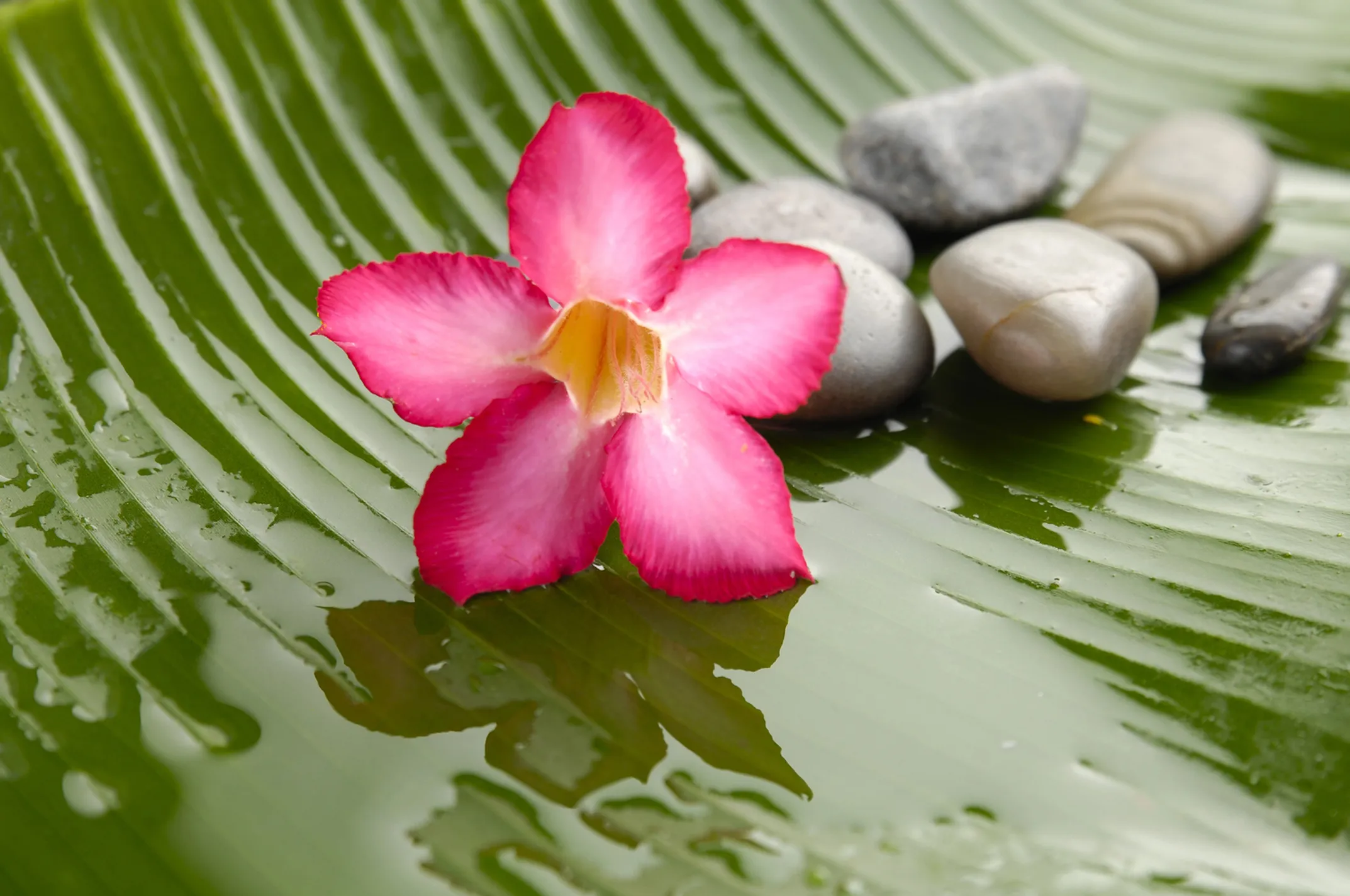 Big Island volcanic spa wellness and thermal healing