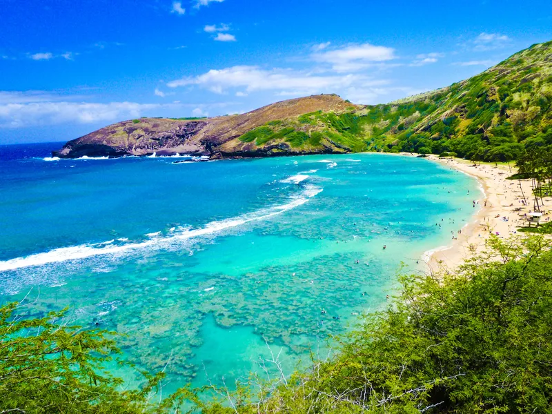 Oahu's vibrant coastline blending urban and natural beauty