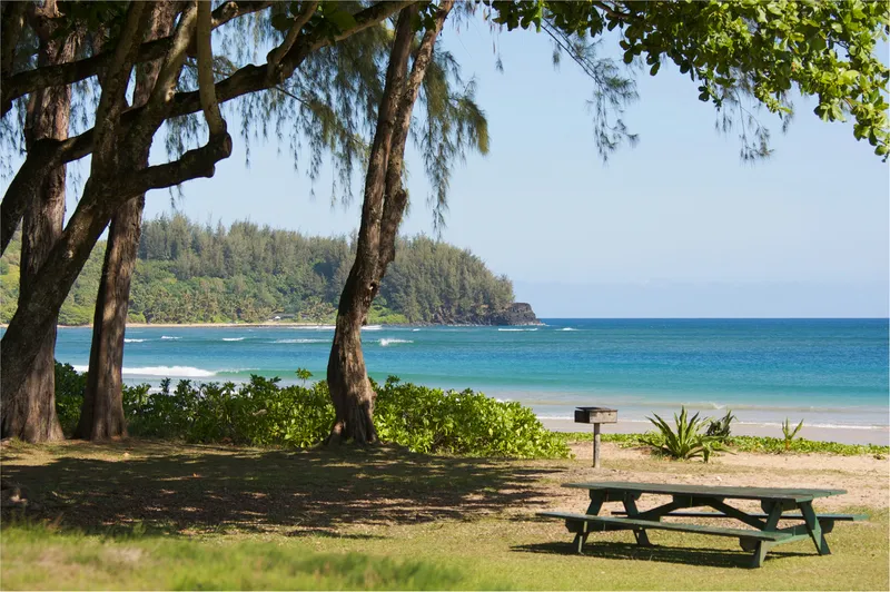 Picnic scene with people enjoying lunch in a natural outdoor setting, with natural swimming hole in background