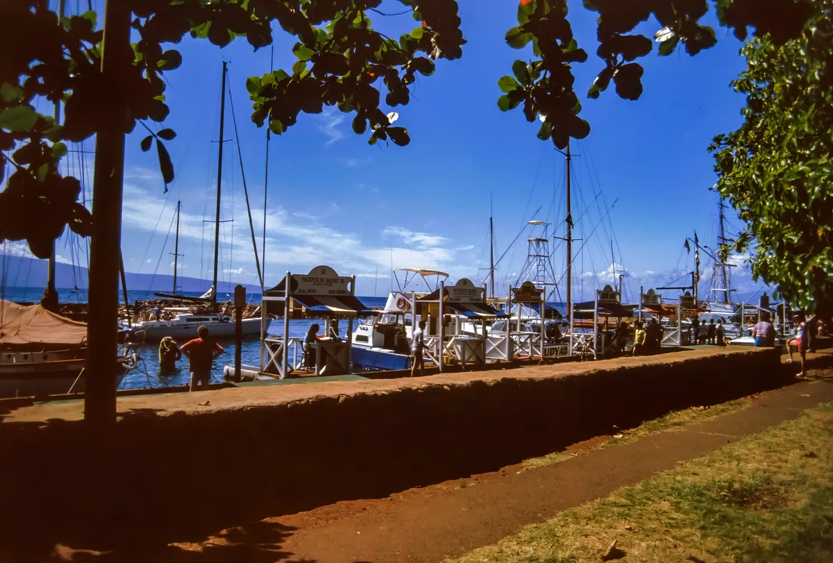 Hawaiian marina with fishing boats representing the local sourcing partnerships established by HRC chefs