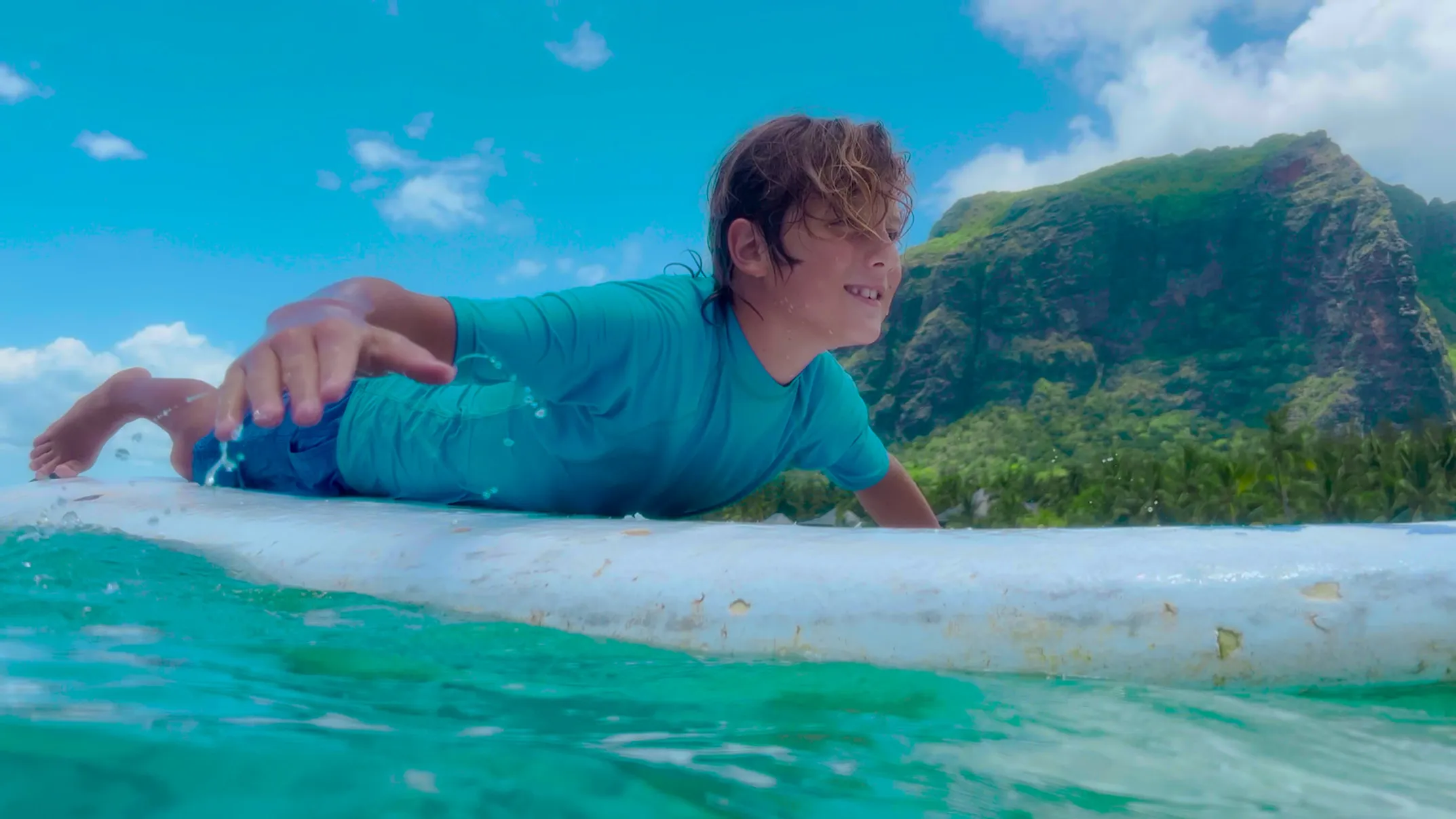 Beautiful Hawaiian landscape background
