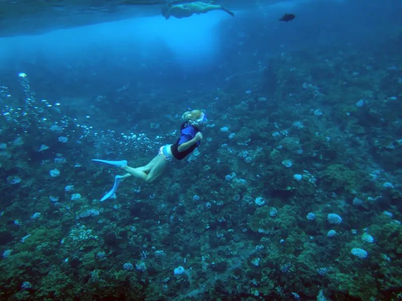 Underwater view of Molokini Crater showing the distinctive crescent-shaped volcanic caldera with crystal clear water