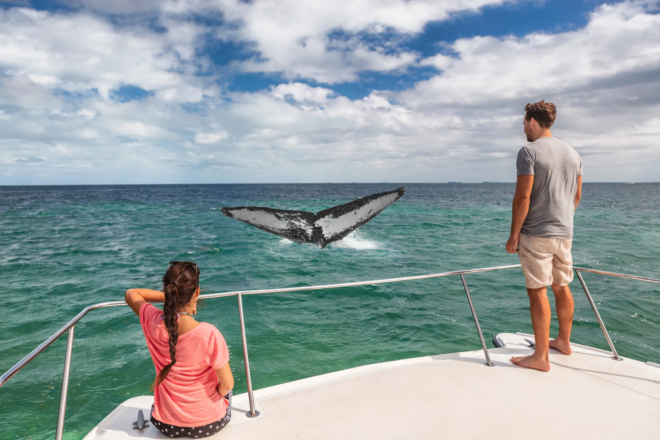 Oahu whale watching with Diamond Head and Ko'olau Mountains backdrop